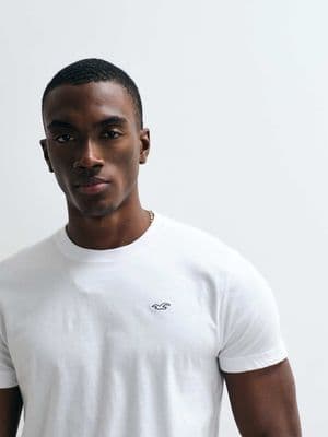 Hollister slim fit icon logo crew neck T-shirt